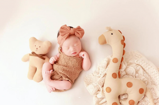 怒江宝宝虾的做法